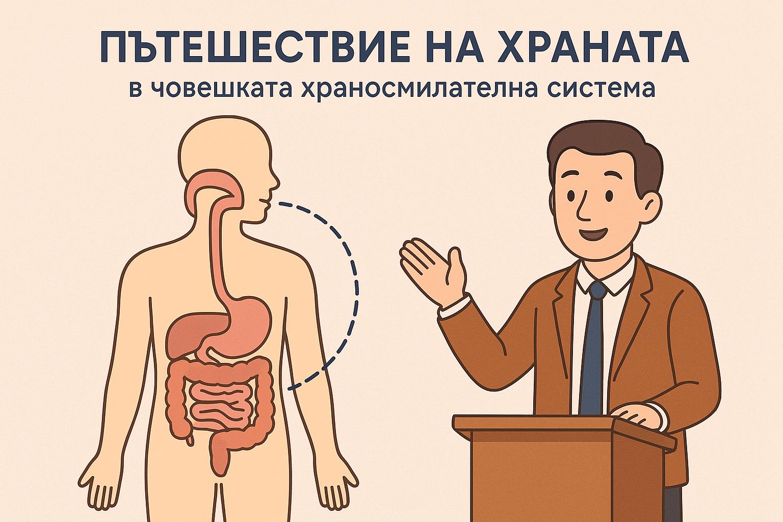 Пътешествие на храната в човешката храносмилателна система